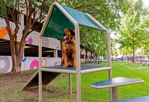 dog park play structures